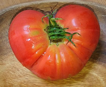 tomato